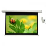 Màn Chiếu Điện + Remote 100\" Giá Rẻ