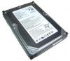 Seagate 500Gb - anh 1